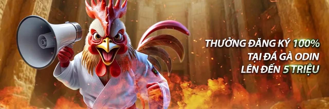 Khuyến mãi RR888 Đăng Nhập 2026 - Ưu đãi độc quyền cho người chơi mới